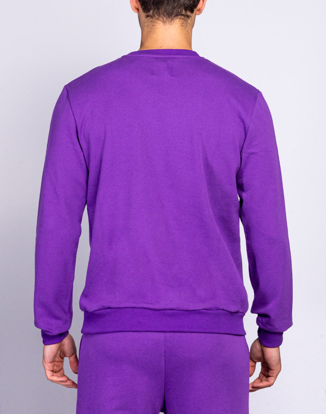 Corsinelabedoli FELPA GIROCOLLO CON MINI LOGO Viola