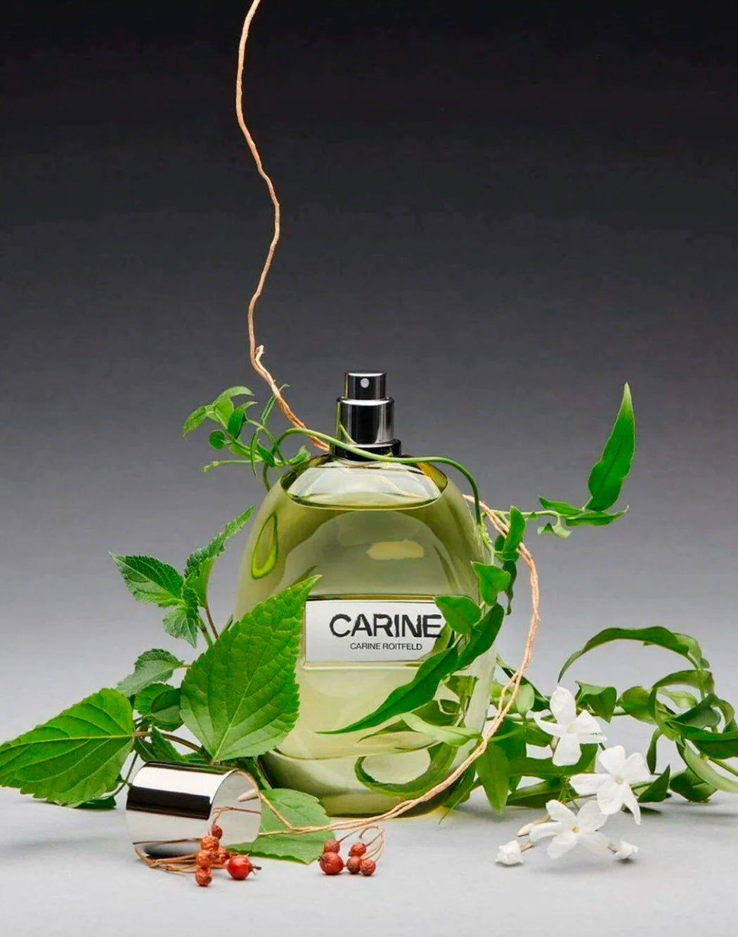 Carine Roitfeld Neutro
