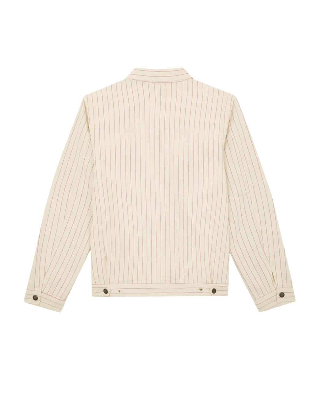 Dickies Neutro