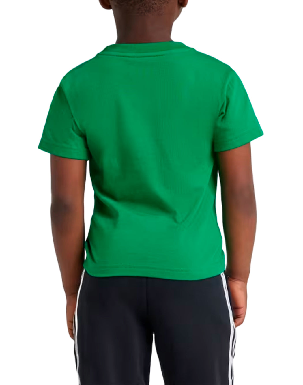 Adidas T-SHIRT ADICOLOR TREFOIL Green