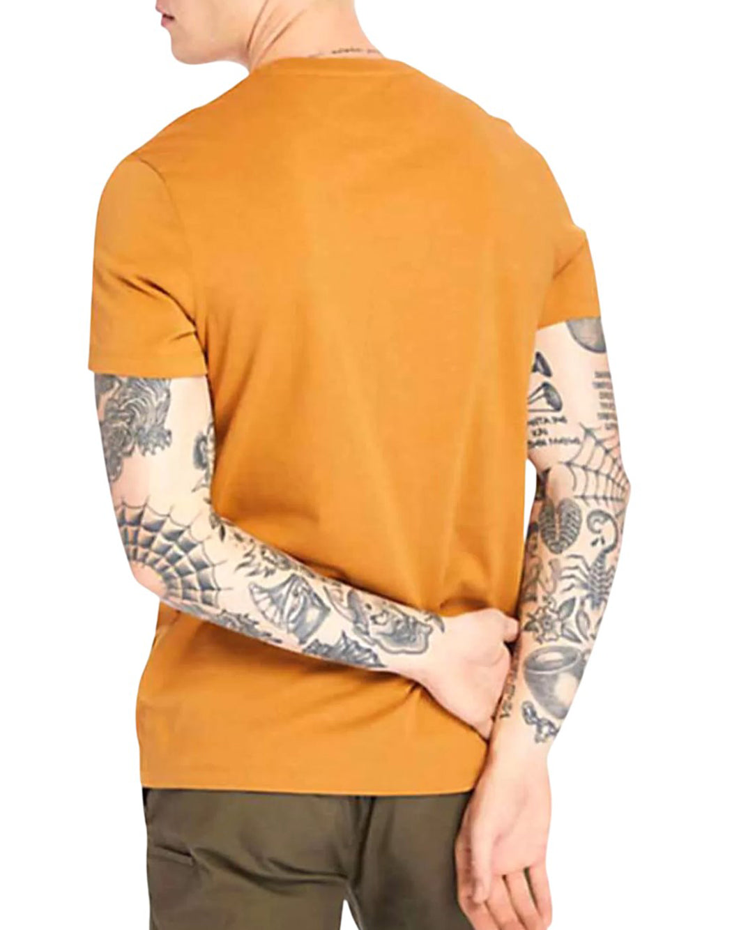 Timberland T-SHIRT DUNSTAN RIVER Neutro