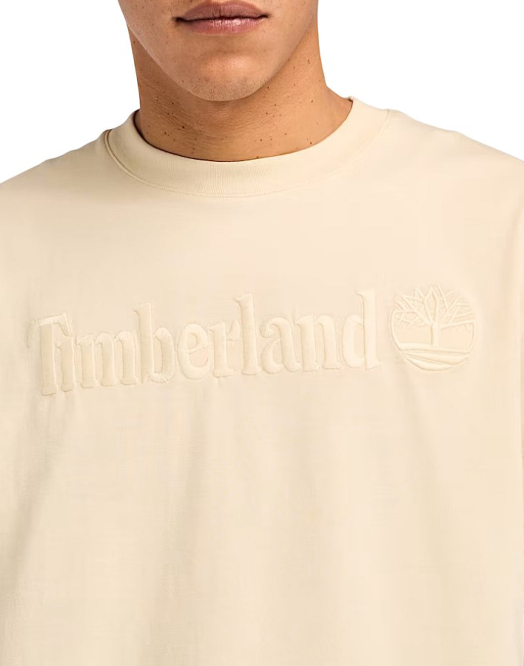 Timberland T-SHIRT HAMPTHON Neutro