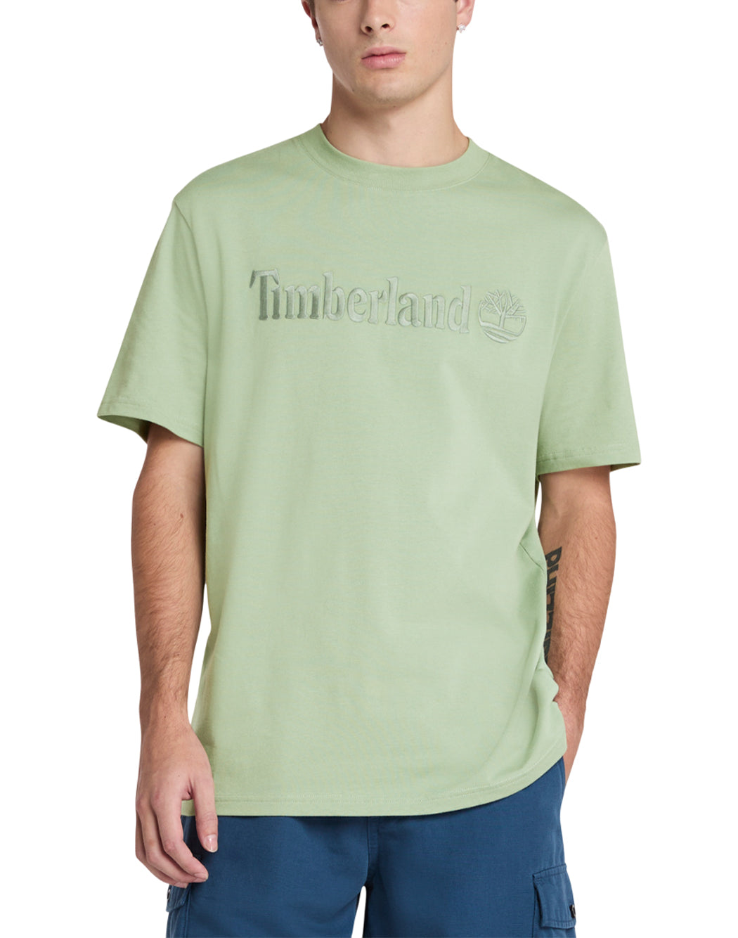 Timberland Verde