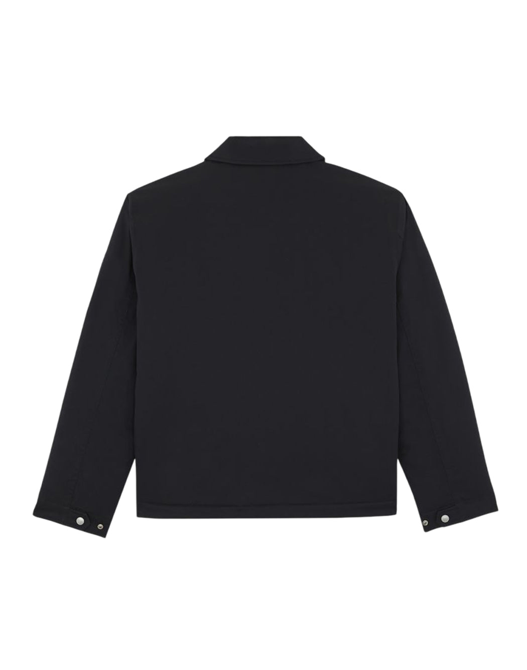 Dickies Nero