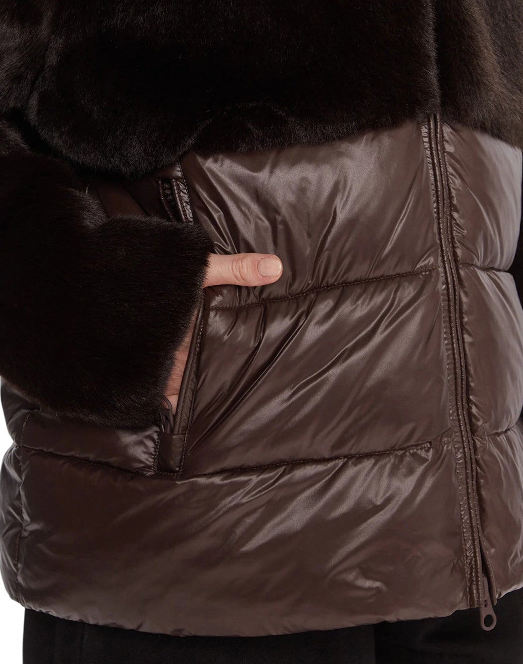 Blauer Marrone