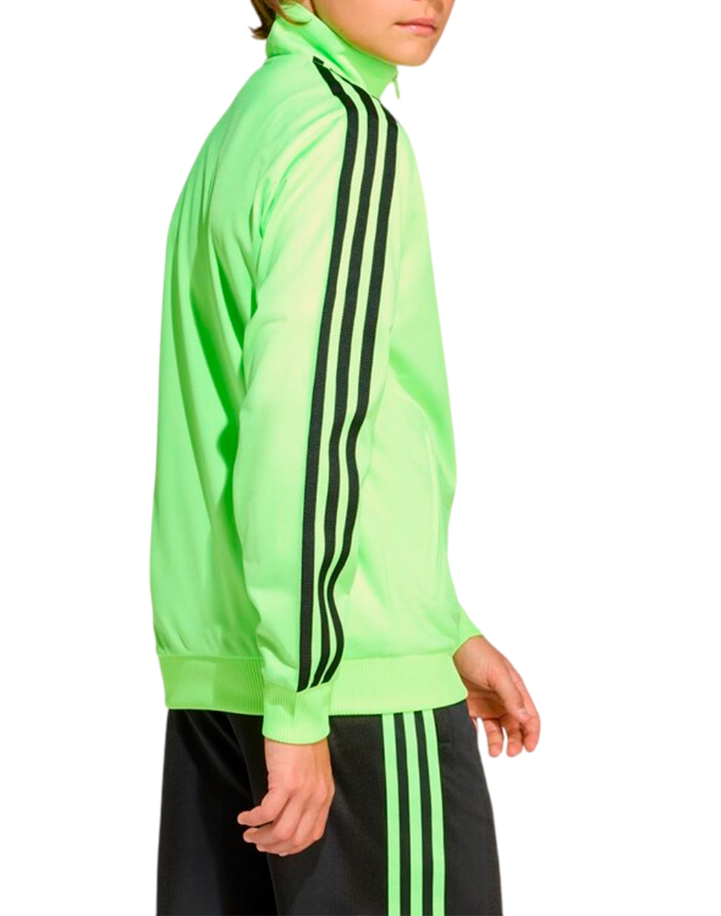 Adidas FELPA CON LOGO Verde