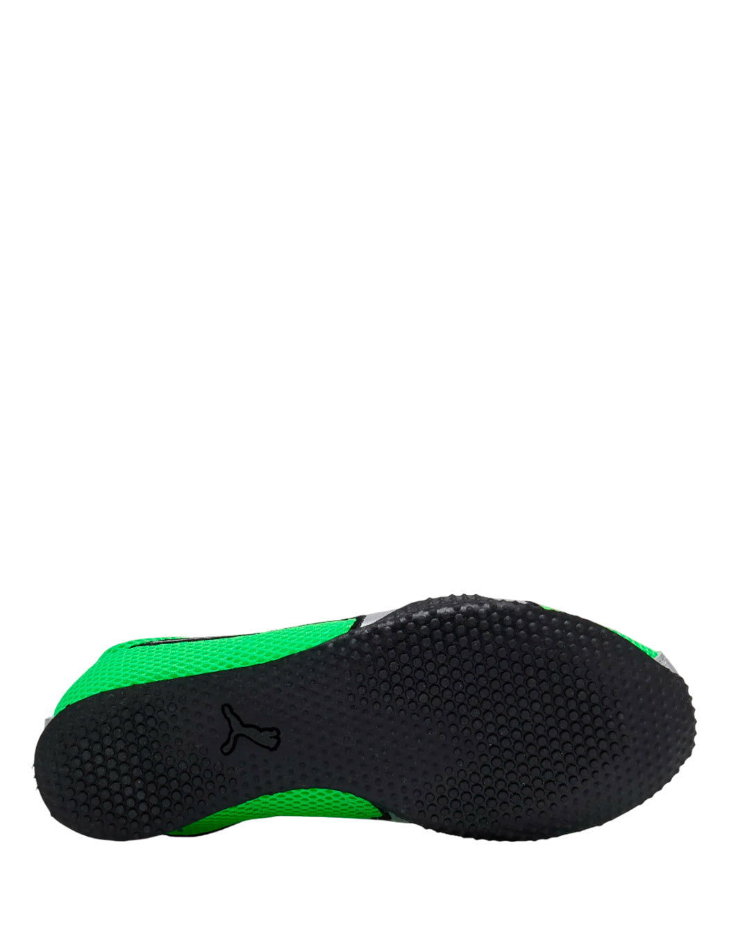 Puma Verde