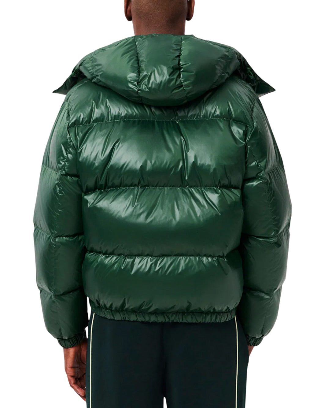 Lacoste Verde
