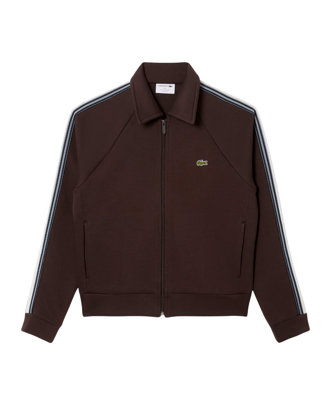 Lacoste  Marrone