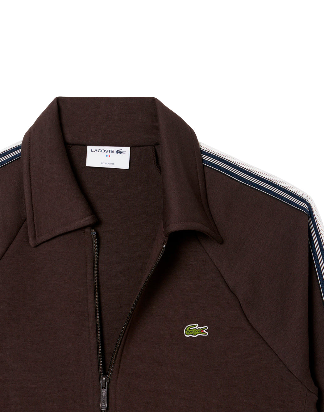 Lacoste  Marrone