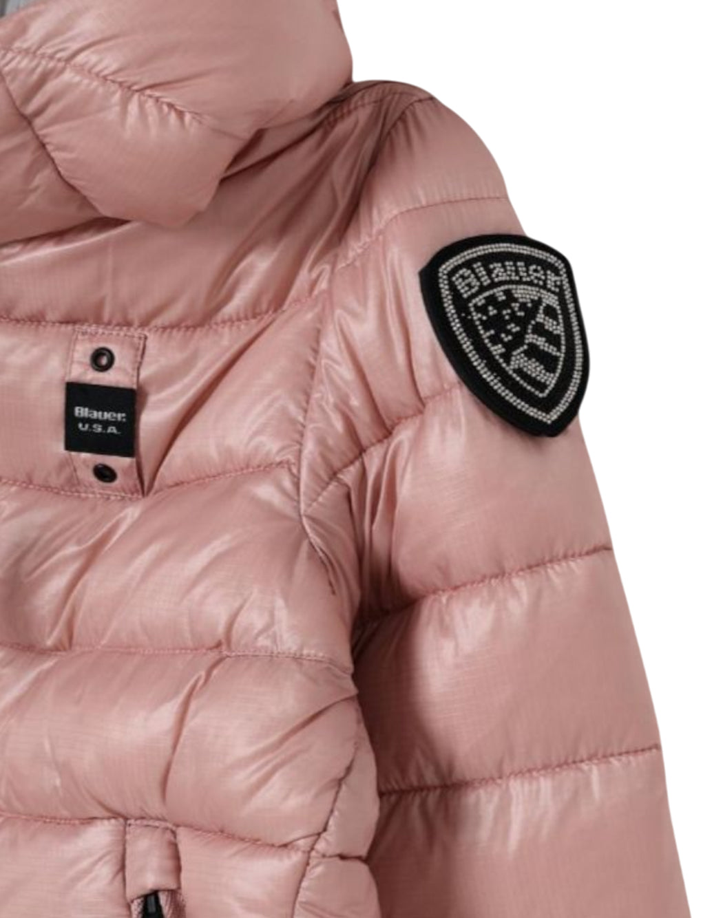Blauer Rosa