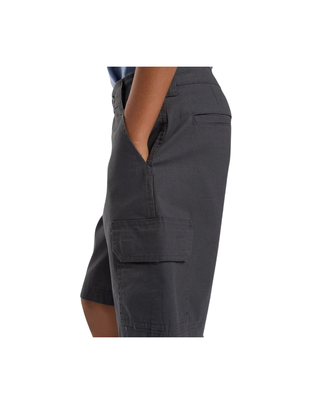 Dickies Grigio
