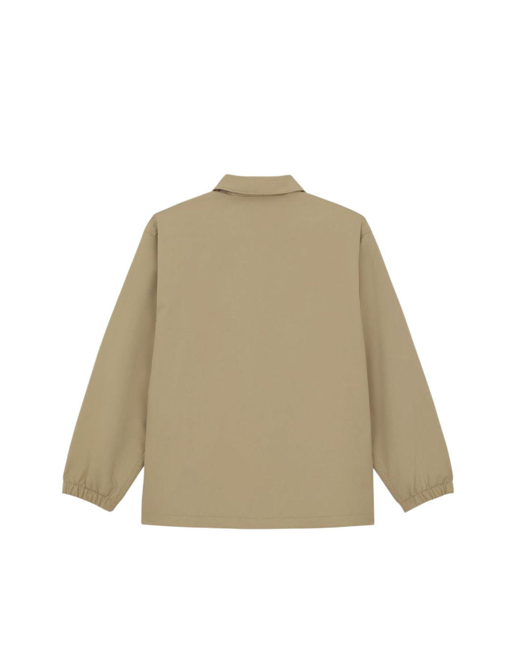 Dickies Neutro