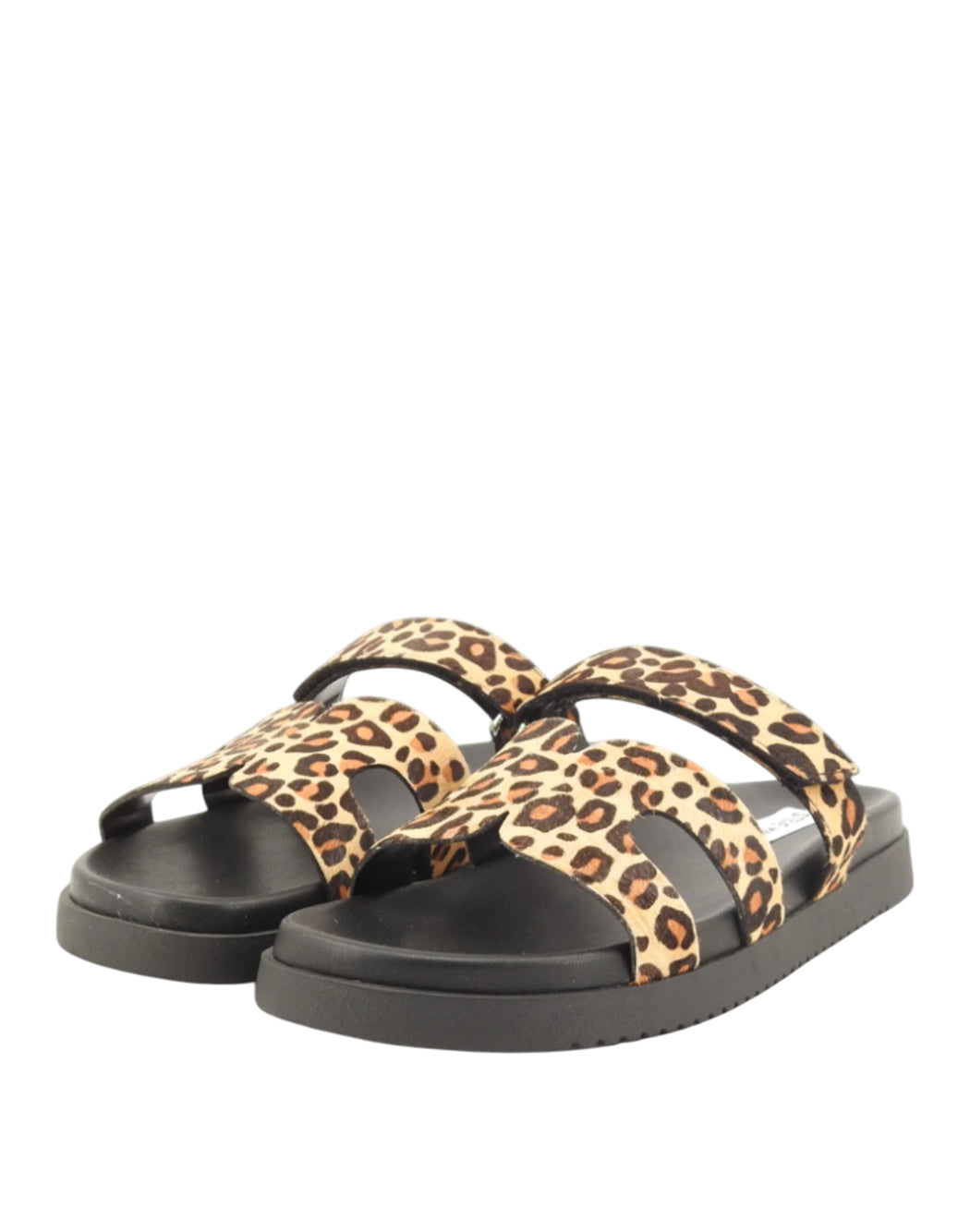 Steve Madden Marrone