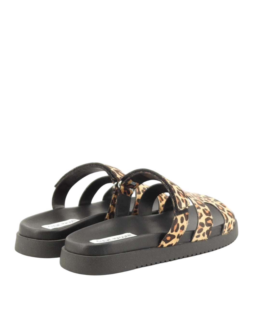 Steve Madden Marrone