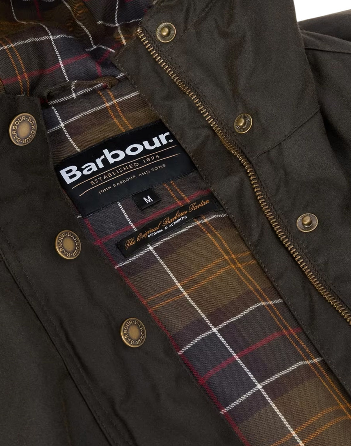 Barbour Verde