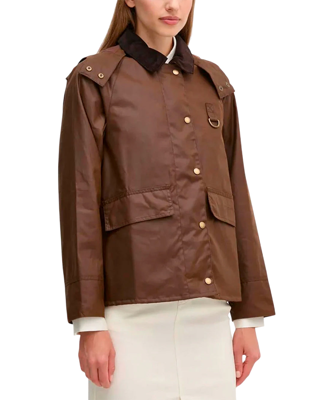 Barbour Marrone