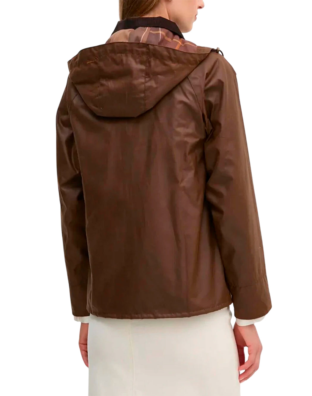 Barbour Marrone