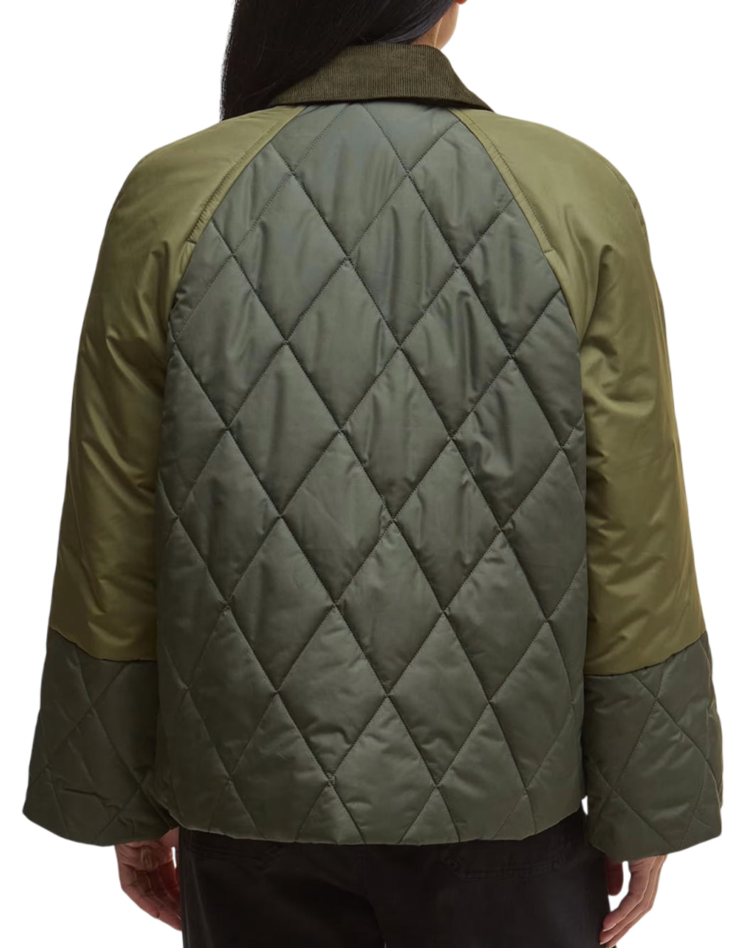 Barbour Verde