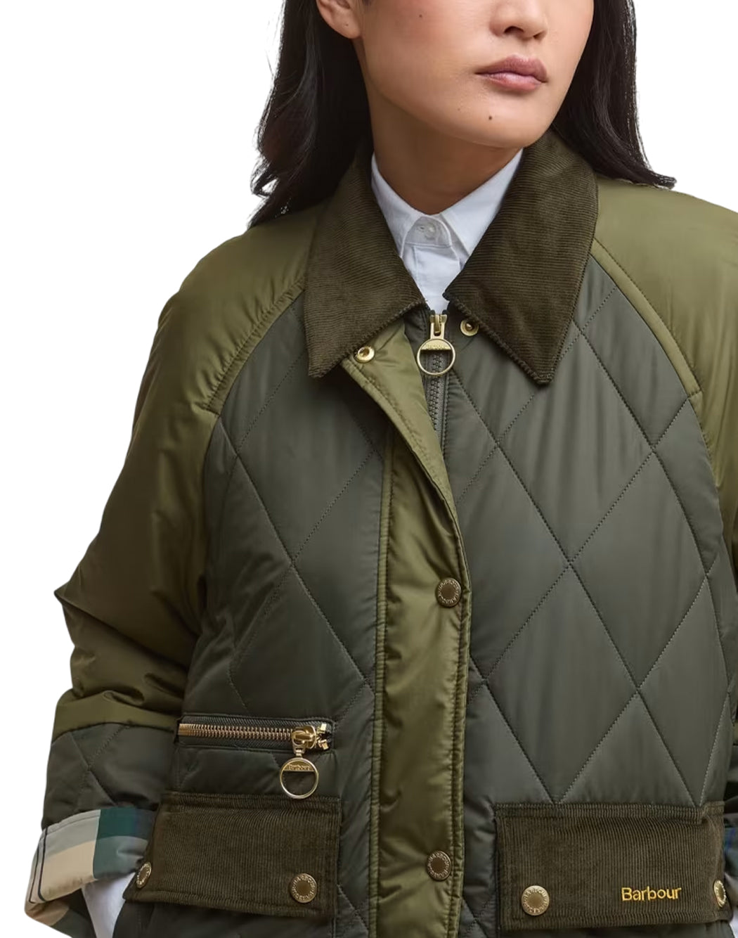 Barbour Verde