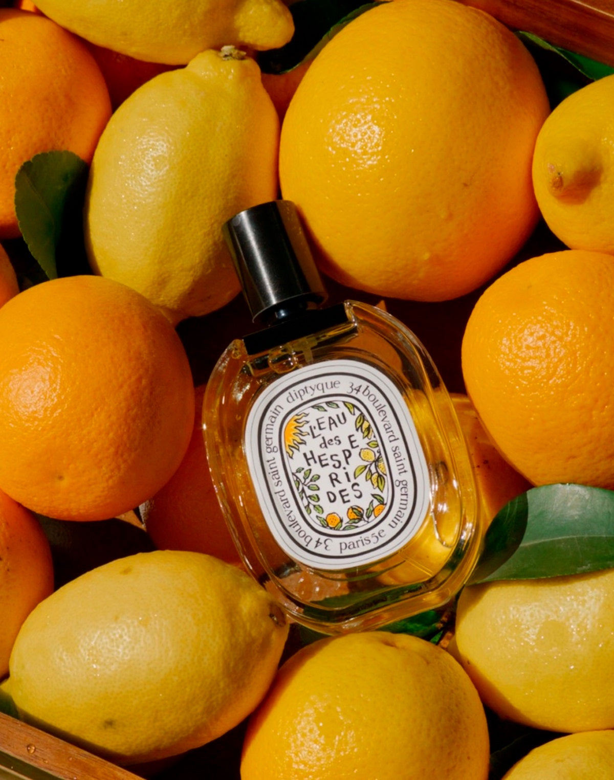 Diptyque Neutro