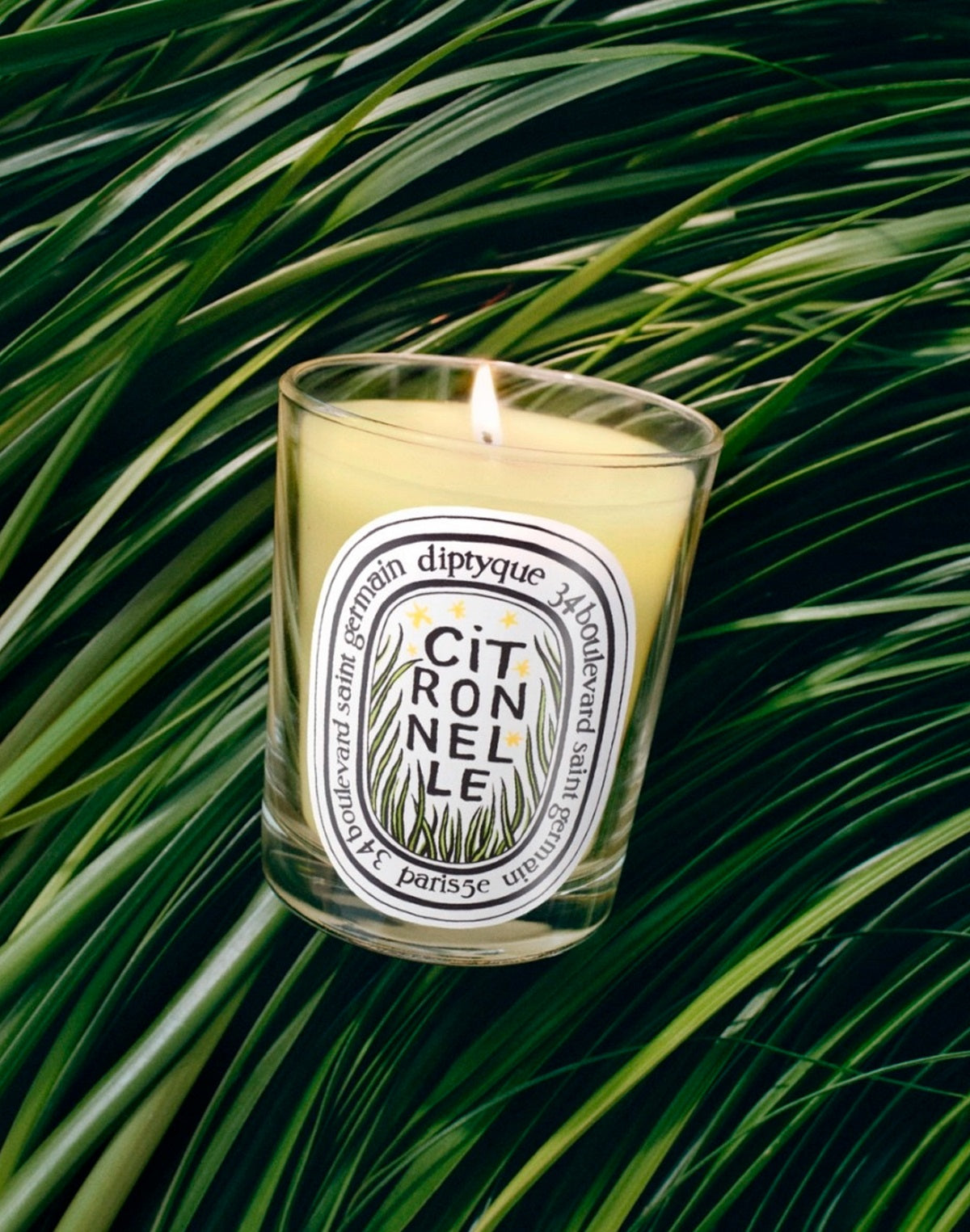 Diptyque Neutro