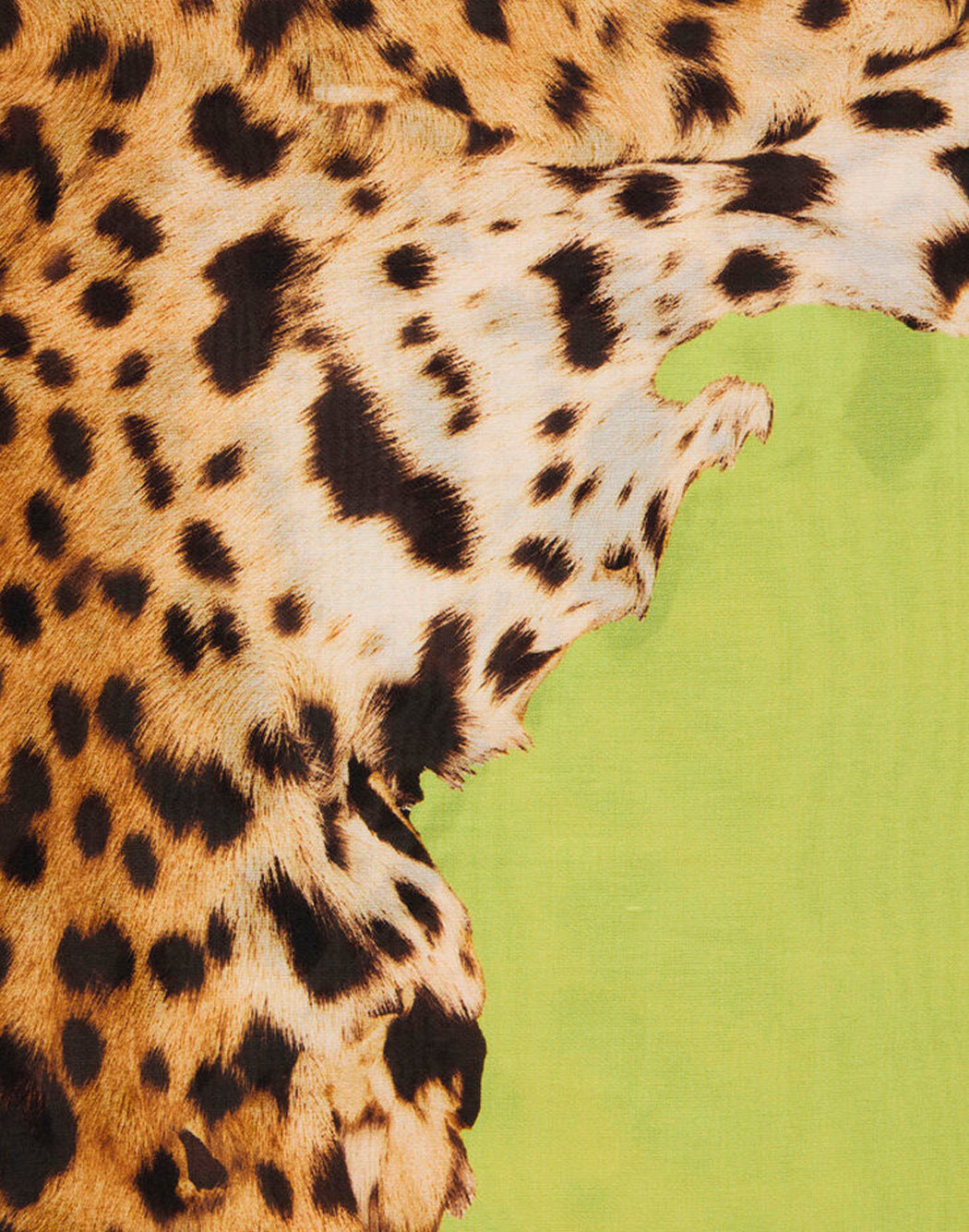 Roberto Cavalli Green