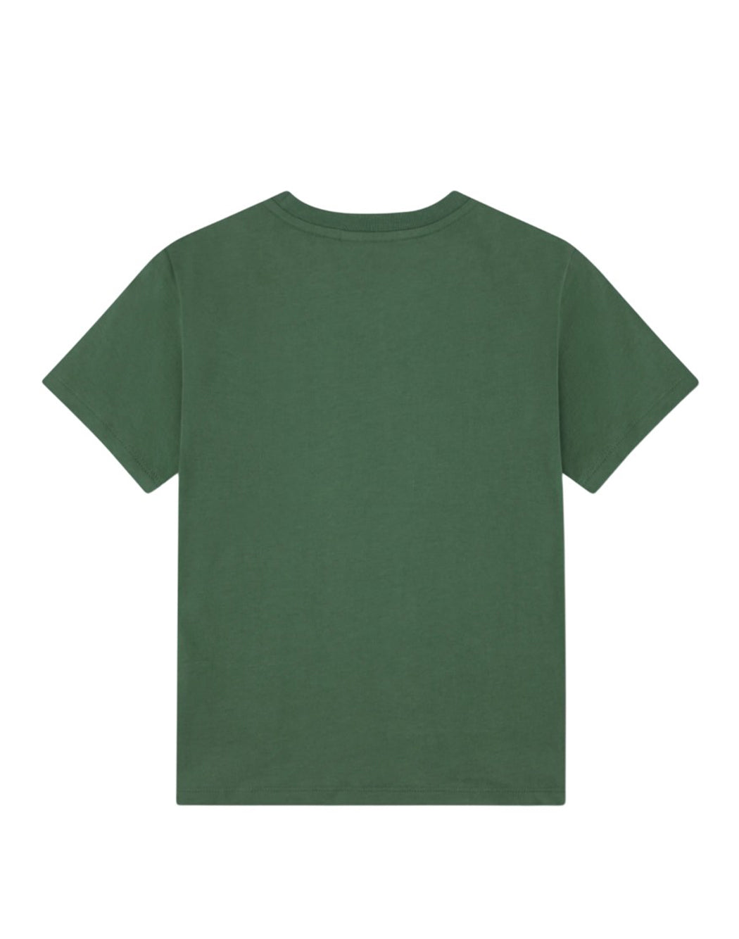 Lacoste Verde