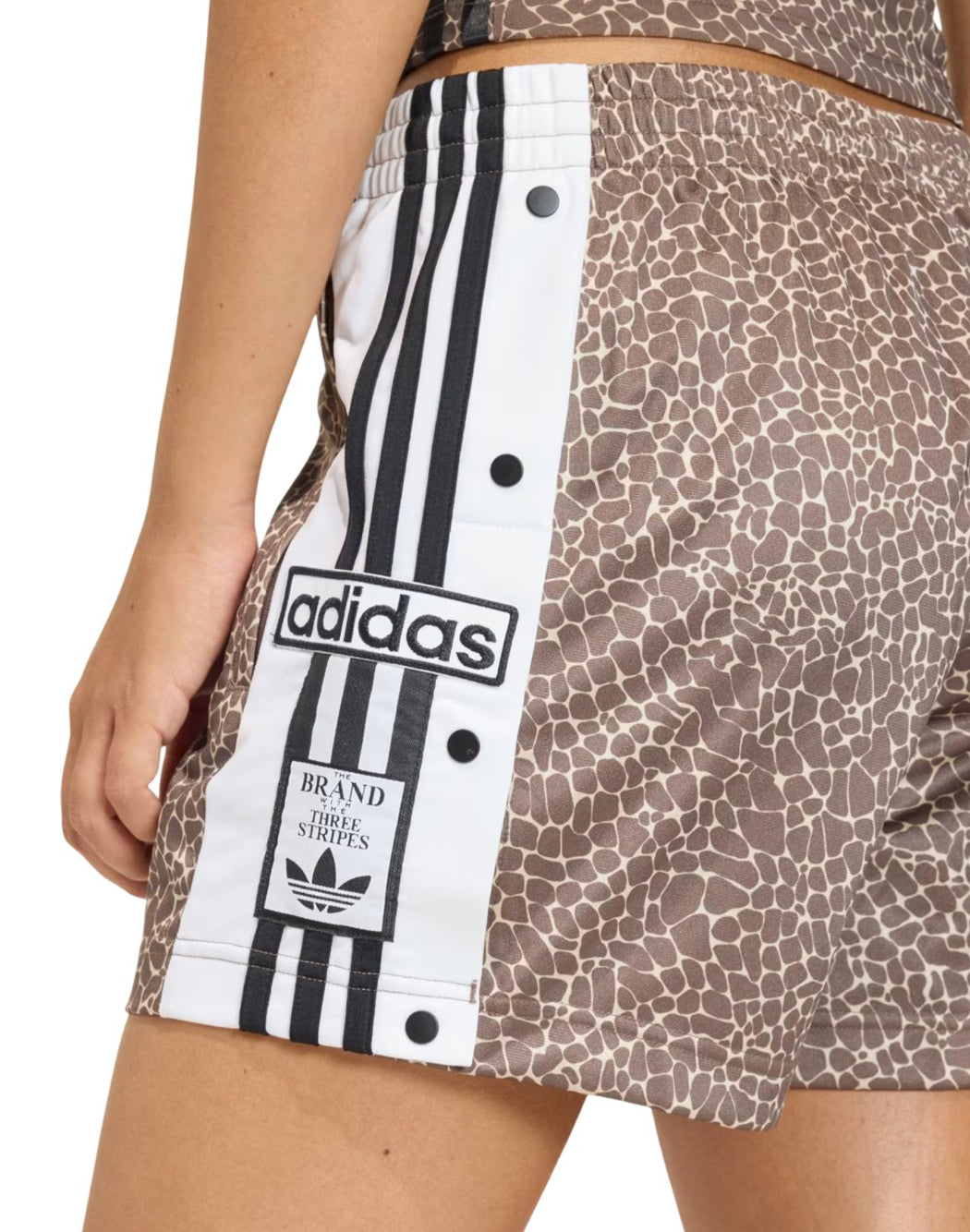 Adidas Marrone