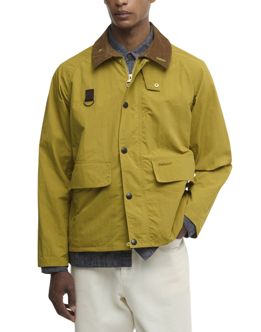 Barbour Verde