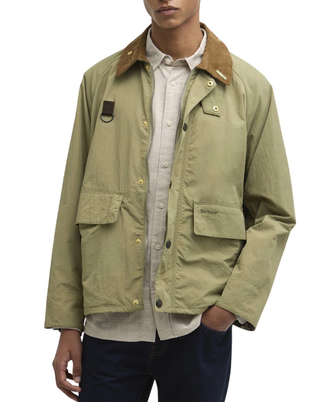 Barbour Verde