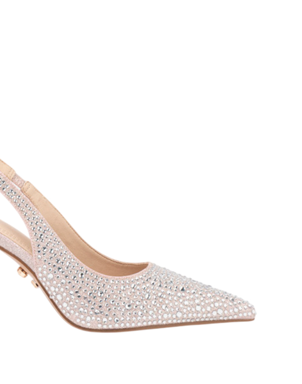 Twenty Fourhaitch Rosa