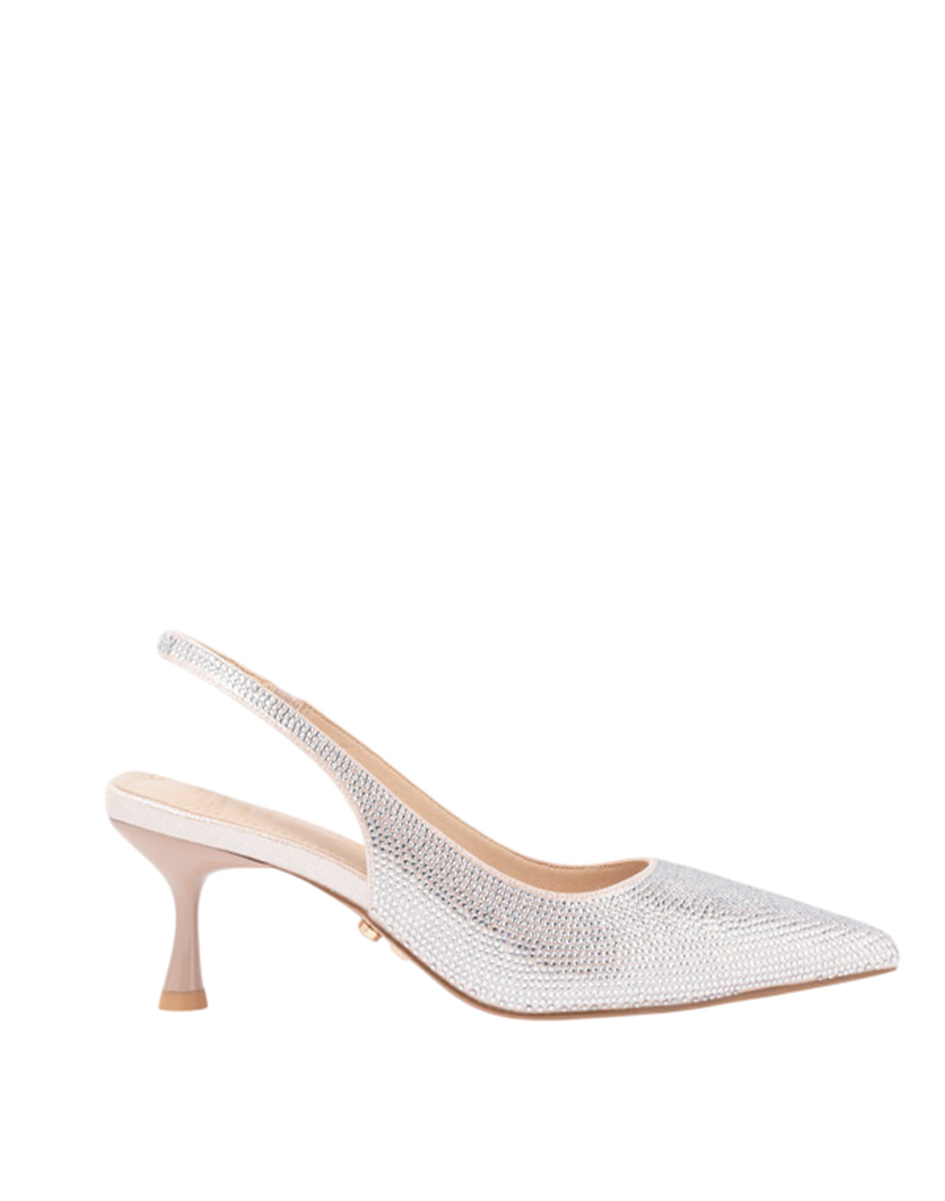 Twenty Fourhaitch Rosa