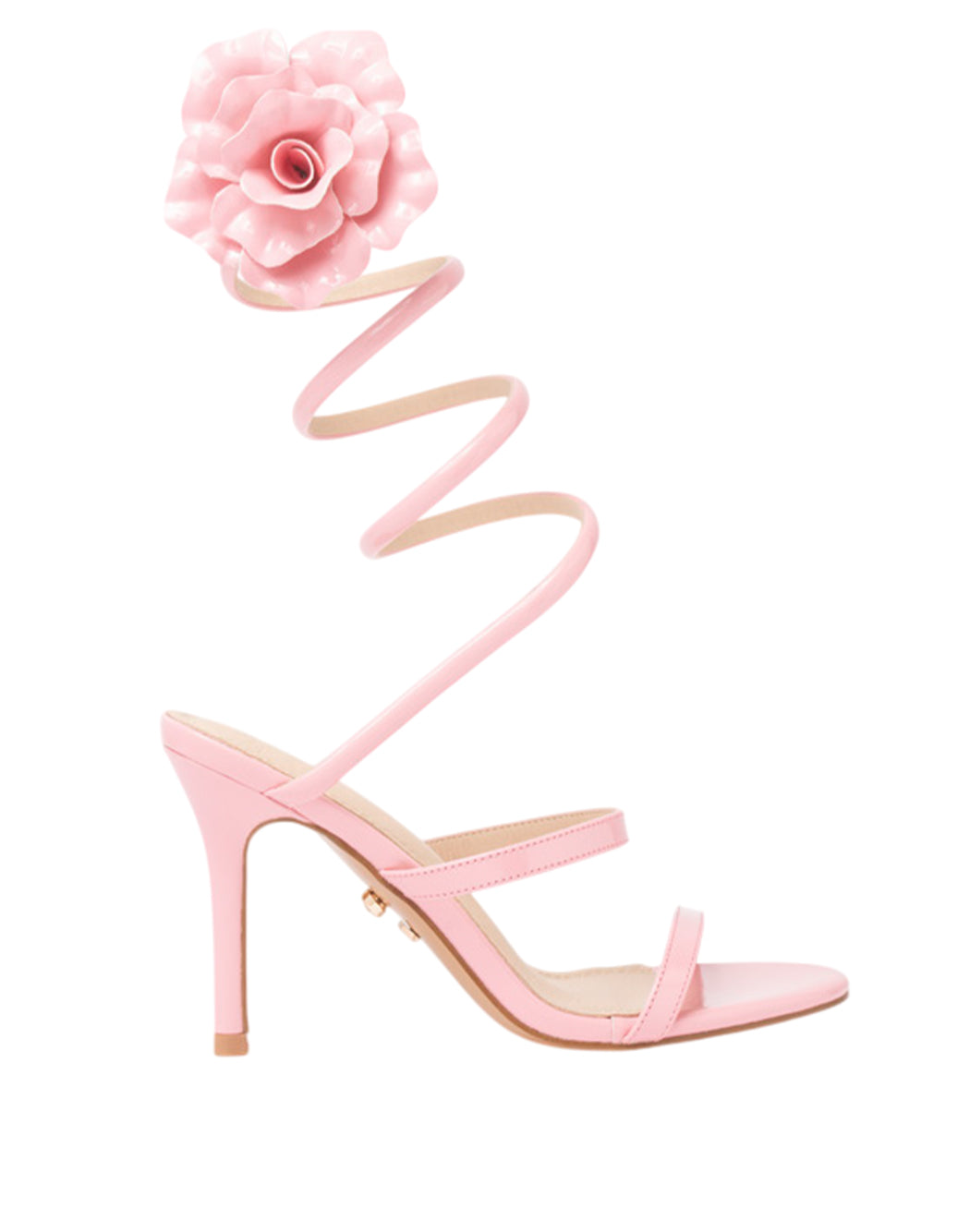 Twenty Fourhaitch Rosa