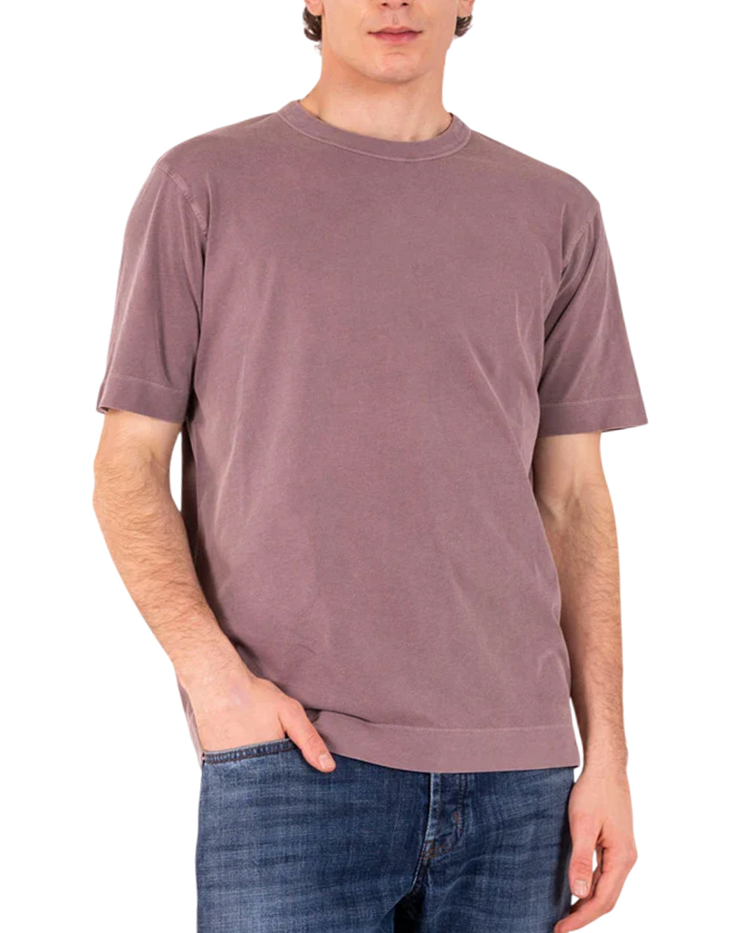 Daniele Fiesoli Viola