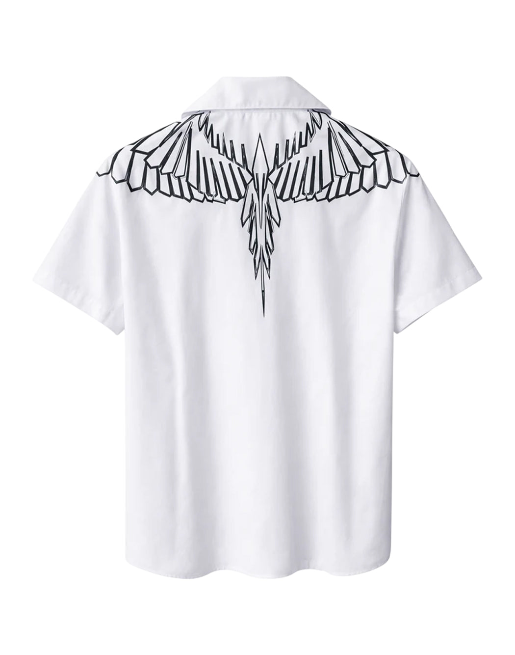 County Of Milan Marrone