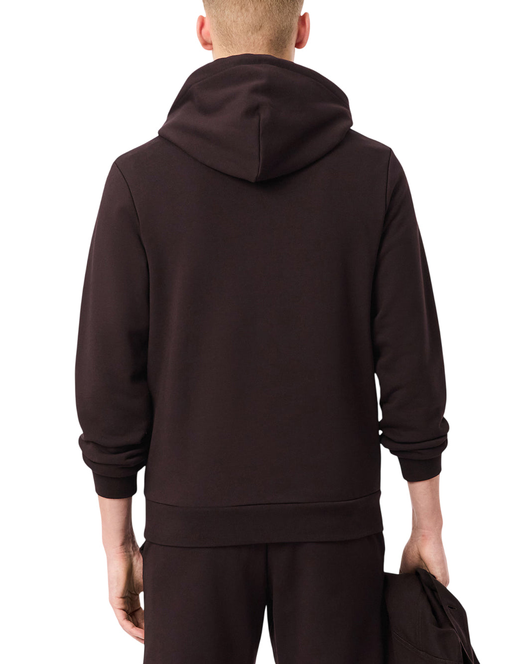 Lacoste Brown