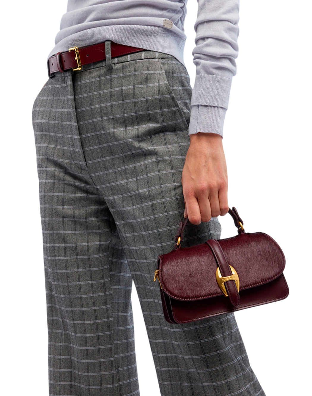Trussardi Viola