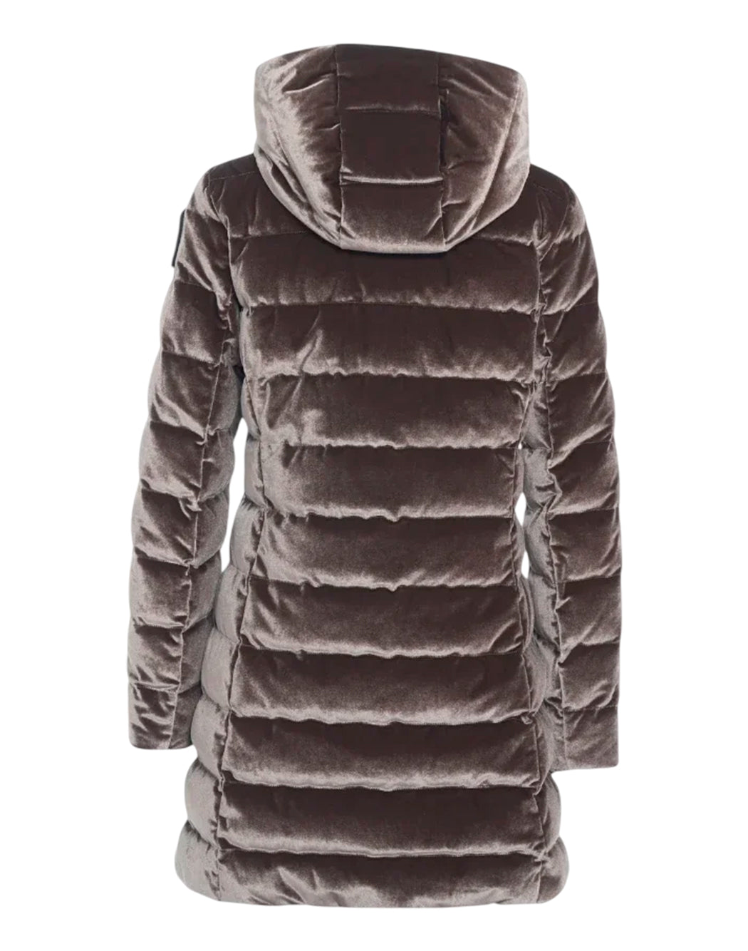 Blauer Marrone