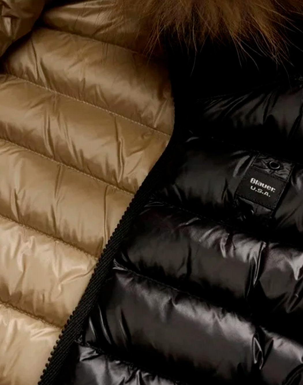 Blauer Piumini corti da Bambina Blauer, colore Nero Nero