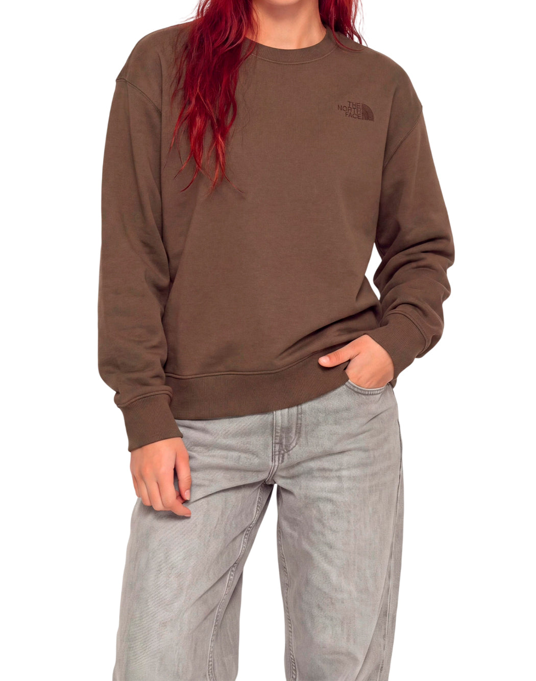 The North Face Marrone
