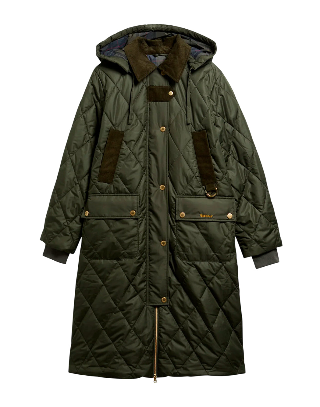 Barbour Verde