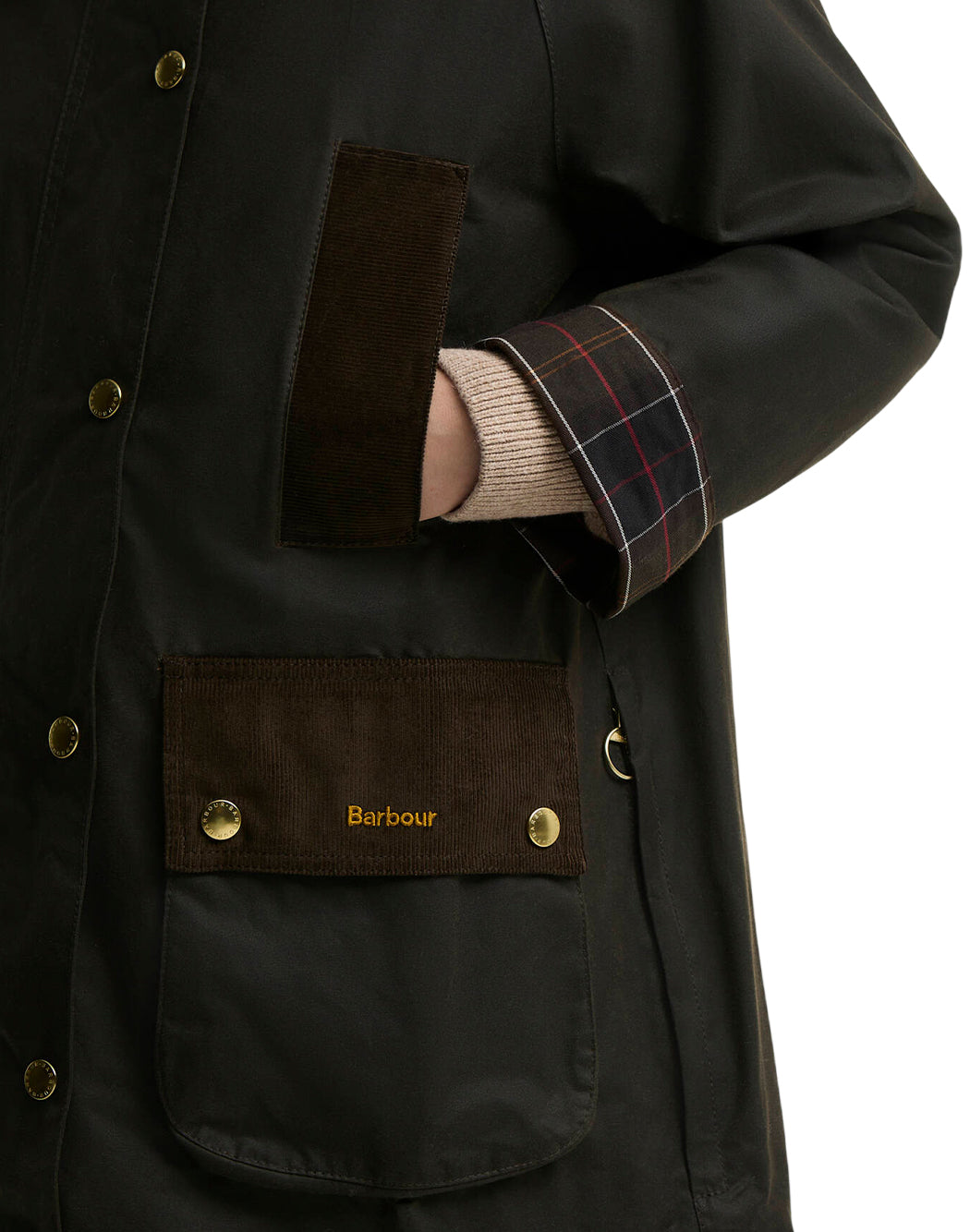 Barbour Verde
