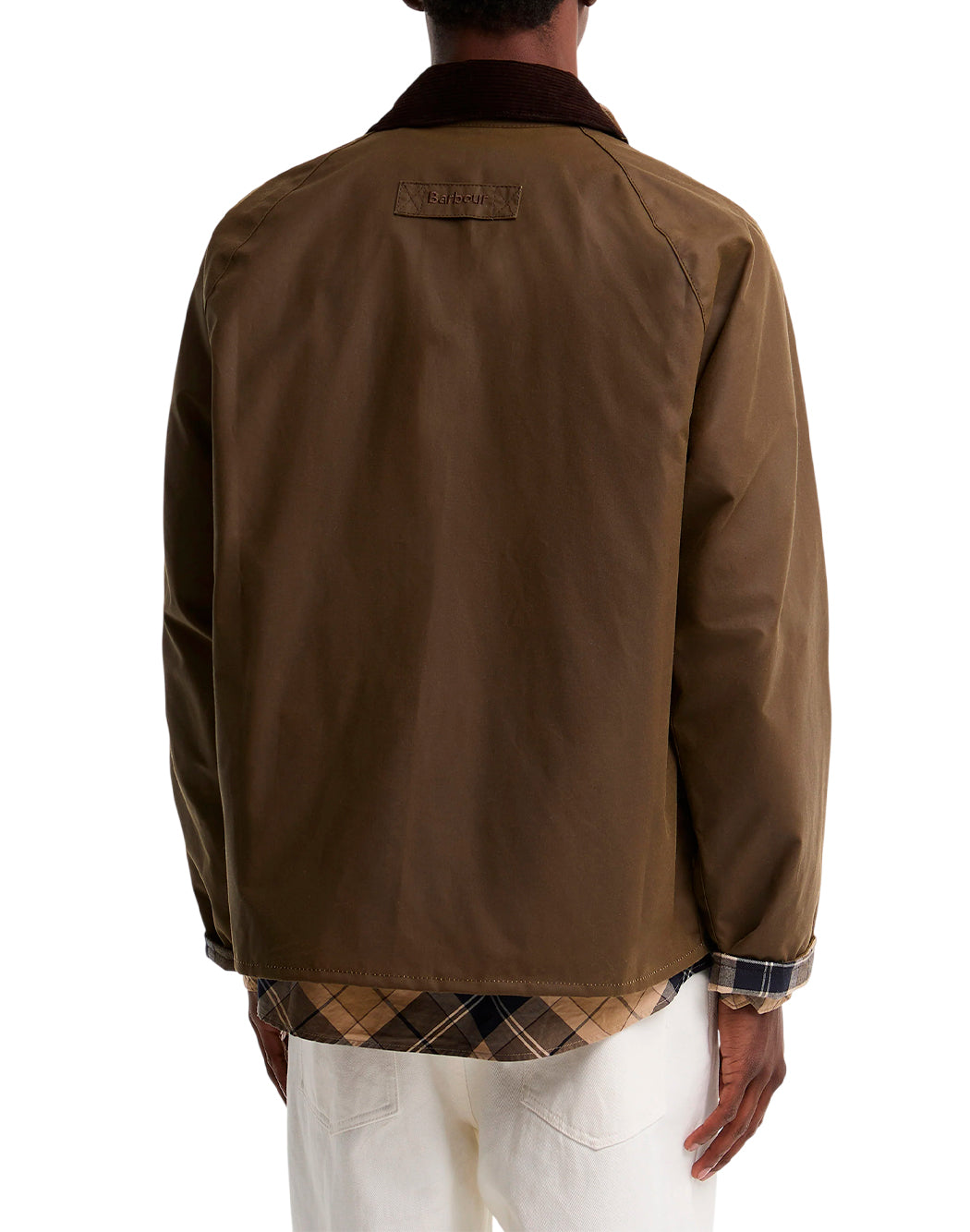 Barbour Marrone