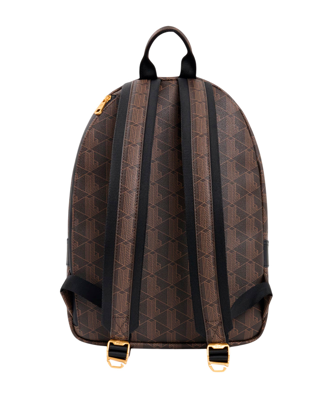 Lacoste Marrone