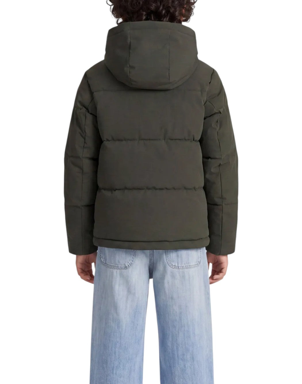 Jack & Jones Piumini corti da Bambino Jack & jones, colore Verde Verde