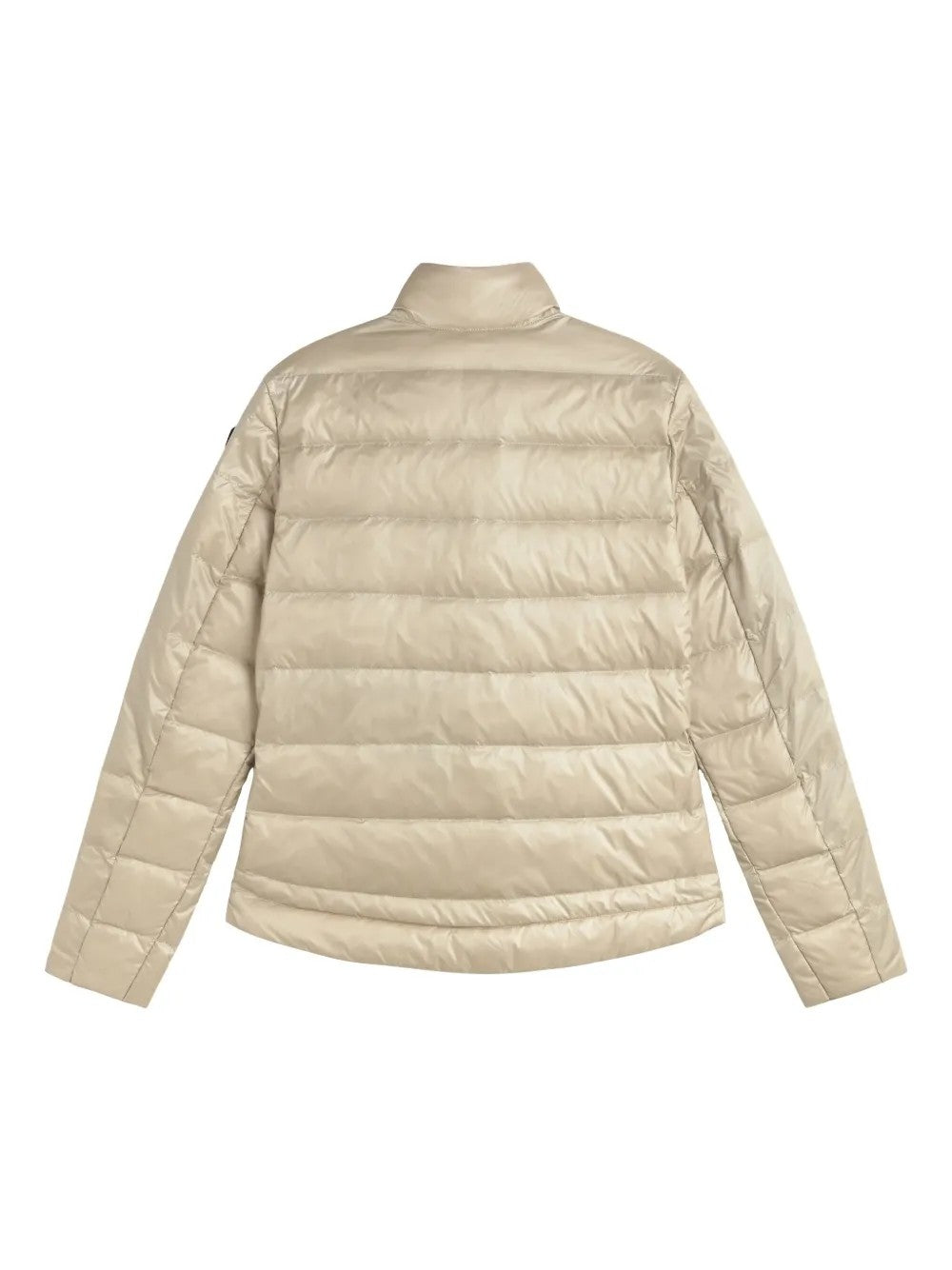 Blauer Grigio