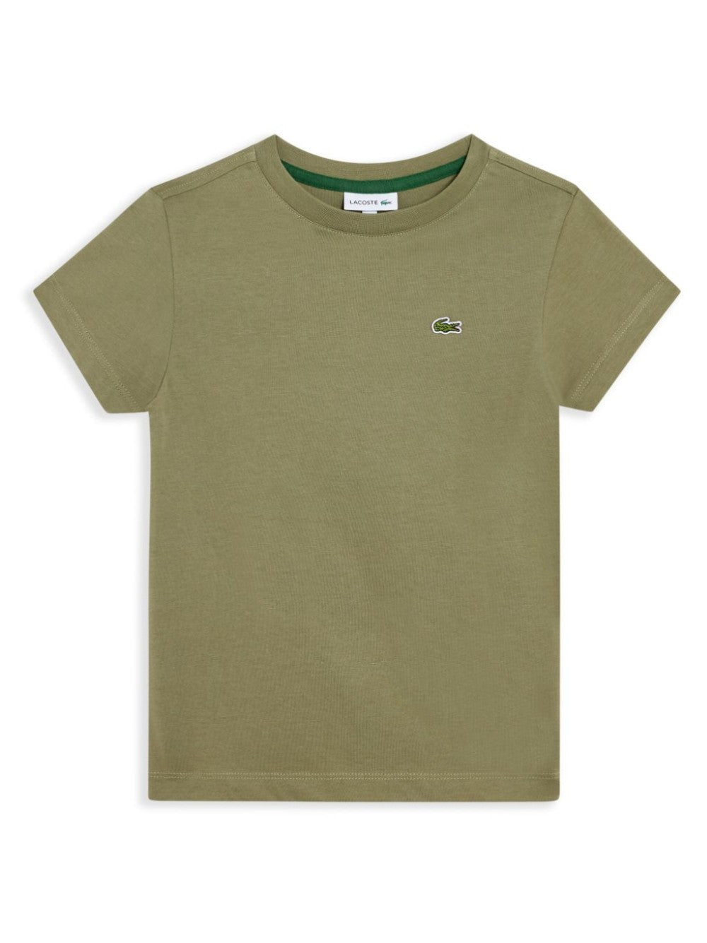 Lacoste T SHIRT BASIC Verde