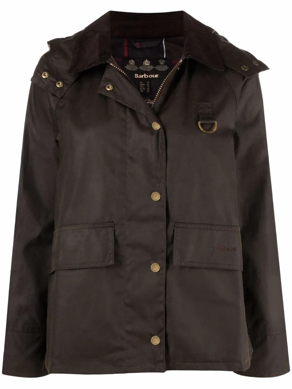 Barbour Verde