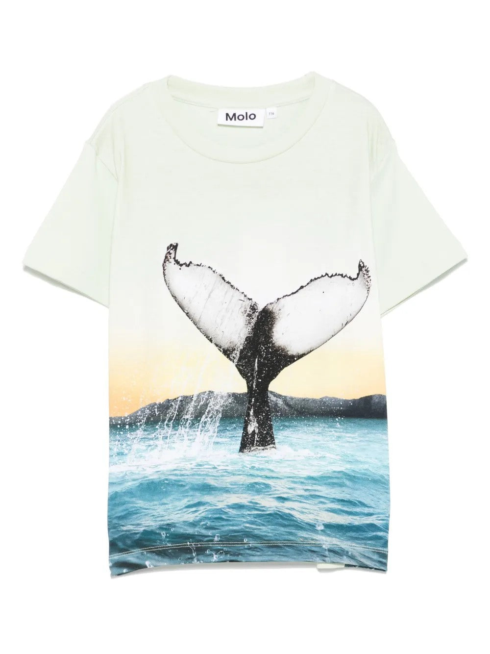 Molo Blu